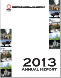 2013 Annual Report